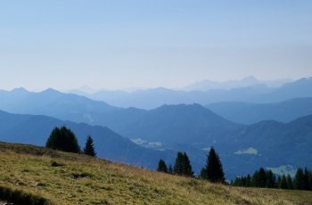 gaugen2026_05