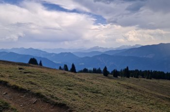 gaugen2026_14