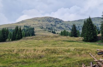 gaugen2026_19