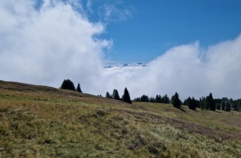gaugen2026_22